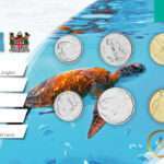 Müntide komplekt - Fidži