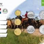 Set di monete - Paraguay