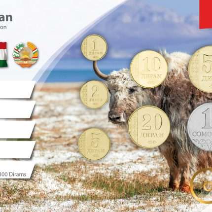 Set di monete - Tagikistan