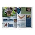 Album for 3 Austrian euro ( Animals) - Image 3