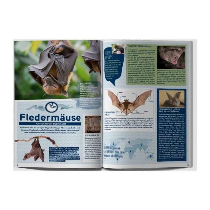 Albumi 3 Itävallan eurolle (eläimet) - Image 3