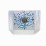 2 euroa 2020a. Viron Kolikkokortti BU - Tarton rauhan 100. vuosipäivä