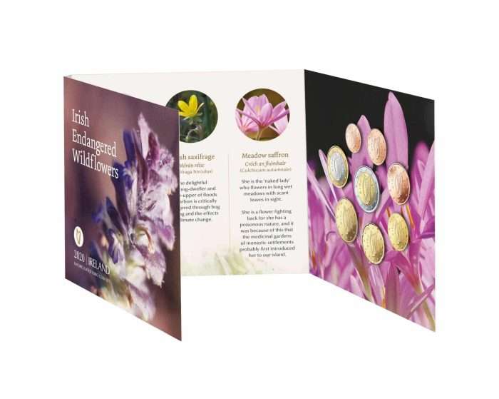 Iirimaa BU Pangavoldik 2020a. - Image 2