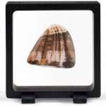 Ujuv raam Maagiline raam 90 - Image 3