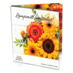 Pangakomplekt Euro 2021 Soome BU