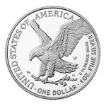 ROLL America 2021 Moneta d'Argento - 1 Dollaro American Eagle (Reverse Aggiornato) - immagine 3