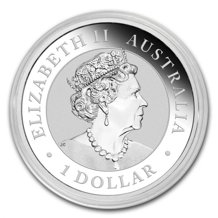 kenguru 2021 1 1 dollarin hopeakolikko Australia 2021 - Australian kenguru - Image 2