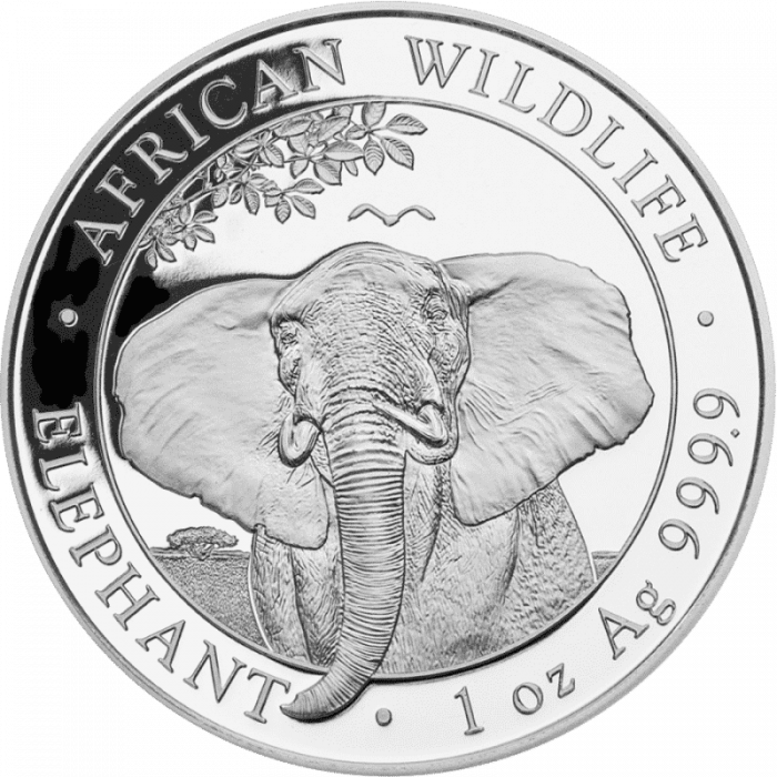 Somalia Moneta Argento 100 Scellini 2021 - Elefante - immagine 1