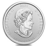 Kanada hõbemünt 2021 – libahunt - Image 2