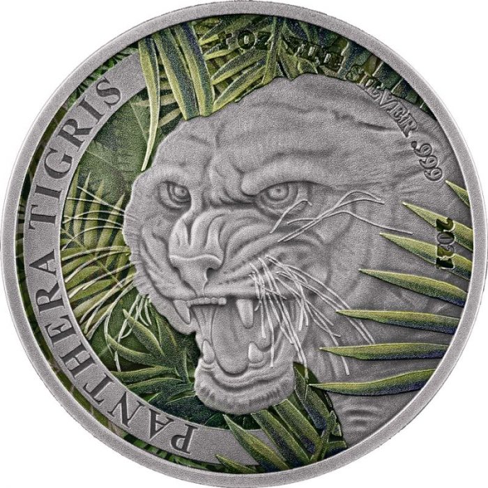 500 kip hõbe värvitatud münt Laos 2021 – Laose tiiger - Image 1