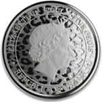 Moneta d'argento 5 cedi Ghana 2021 - Leopardo africano - immagine 2