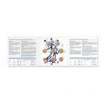 Euro bank set France 2022 BU - Image 3
