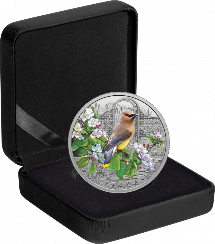 967dcb19-6b4b-41aa-a6da-9fd59a6608cc Цветная серебряная монета $20 Канада 2022 - Кедровый свиристель — изображение 4