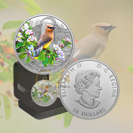 Moneta d'argento colorata da $ 20 Canada 2022 - Cedar Waxwing