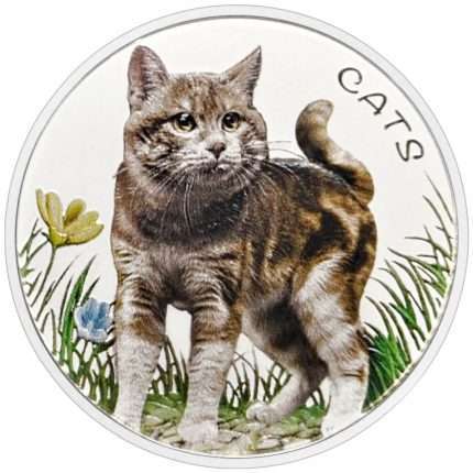 Moneda de plata coloreada 50 centavos Fiyi 2022 - Gatos