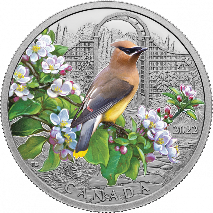 a2fc953e-d969-4ff5-9821-39cbf093fe34 Цветная серебряная монета $20 Канада 2022 - Кедровый свиристель — изображение 2