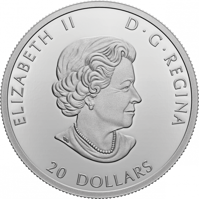 dd56f611-adce-4398-a3a1-ba7fd07f6730 Цветная серебряная монета $20 Канада 2022 - Кедровый свиристель — изображение 3