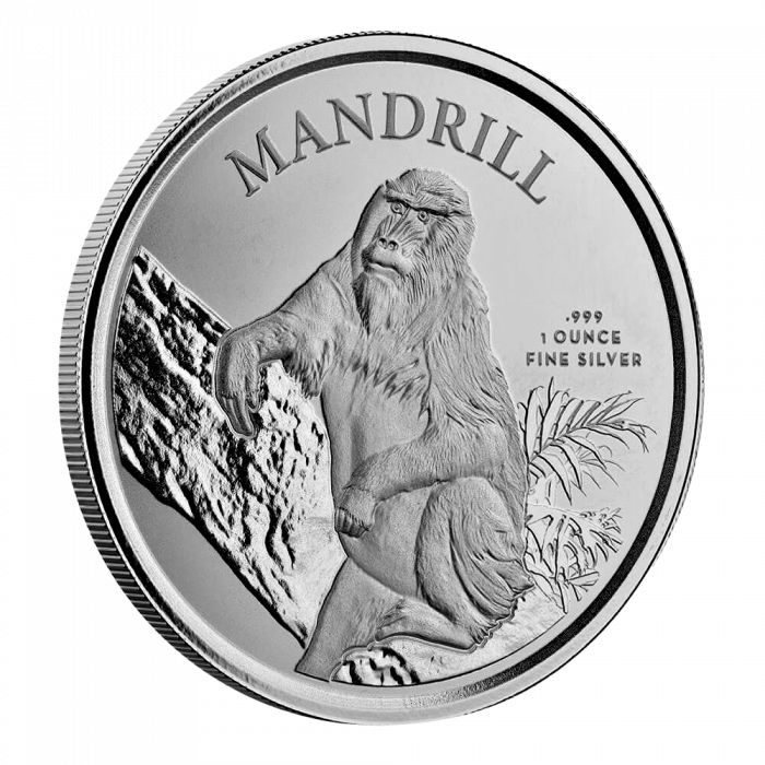 Moneta d'Argento ₣500 Camerun 2021 - Mandrillo - immagine 1