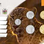 Набор монет - Намибия