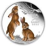 Цветная серебряная монета 1$ Австралия 2023 — Год Кролика 1 oz PROOF