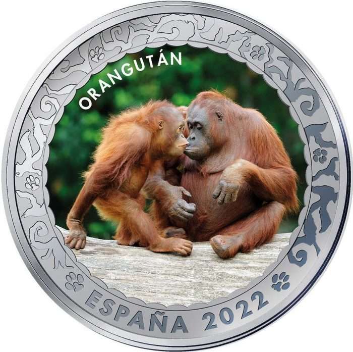 63930c97d8c5e7.59529175-original 1,5 Euro España 2022 Especies Amenazadas - Orangután - Imagen 1