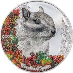 Silver coin Mongolia 2023 - Siberian chipmunk