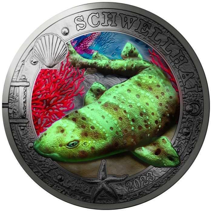 Moneda 3 Euro Color Austria 2023 – Vibrante Vida Marina “Tiburón Hinchado” - Imagen 3