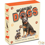 Silver Coin 1$ Tuvalu 2011 - Working Dogs: Australian Cattle Dog - Image 4