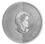 Moneta d'argento 2 dollari Canada 2023 - Orso Polare - immagine 2