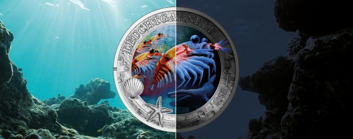 Värviline münt 3 eurot Austria 2023 – Helendav mereelu "Antarktika krill" - Image 4