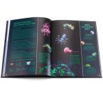 Albumi 3 euron kolikoille Itävalta "Luminous Marine Life" - Image 4
