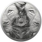 Moneta d'argento da 5 Rand sudafricani 2022 - Big Five: Leone - immagine 3