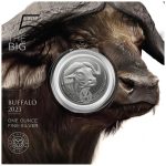Hõbemünt 5 rand Lõuna-Aafrika 2023 – Suur viisik: Buffalo