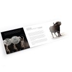 Hõbemünt 5 rand Lõuna-Aafrika 2023 – Suur viisik: Buffalo - Image 4