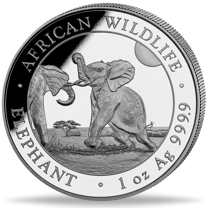 1oz_elephant_silber_2024 Moneda de Plata Somalia 100 Chelines 2024 – Elefante Somalí - Imagen 1