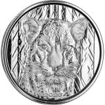 Moneta Argento 5 cedi Ghana 2023 – Leopardo Africano