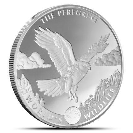 Silver coin 20 francs Congo 2024 – Peregrine Falcon