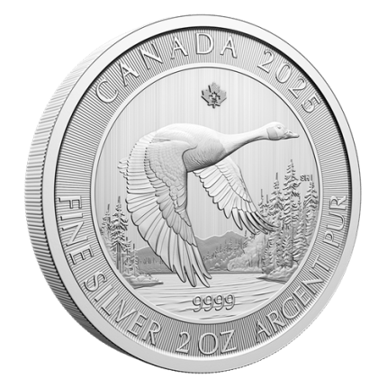 Silver coin $10 Canada 2025 - Canada Goose 2 oz