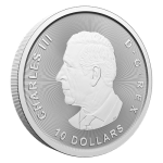 Silver coin $10 Canada 2025 - Canada Goose 2 oz - Image 2