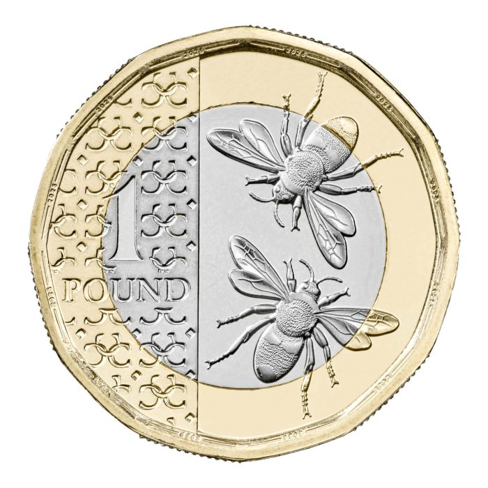 duw25--du25-the-2025-united-kingdom-brilliant-uncirculated-definitive-gbp1-reverse-1500x1500-f3a2c67 Annual Coin Set UK 2025 BU - Image 4