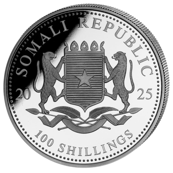 elephant2025somaliobv (1) Somalia Moneda de Plata 100 Chelines 2025 - Elefante Somalí - Imagen 2