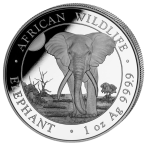 Somalia Moneda de Plata 100 Chelines 2025 - Elefante Somalí