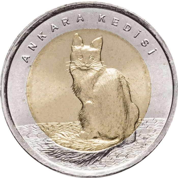ангорская кошка (2) 1 lira Turchia 2015 - Gatto d'angora turco - immagine 1