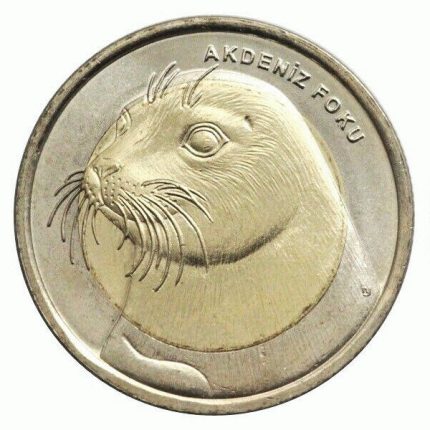 1 lira Turchia 2013 - Foca dal ventre bianco