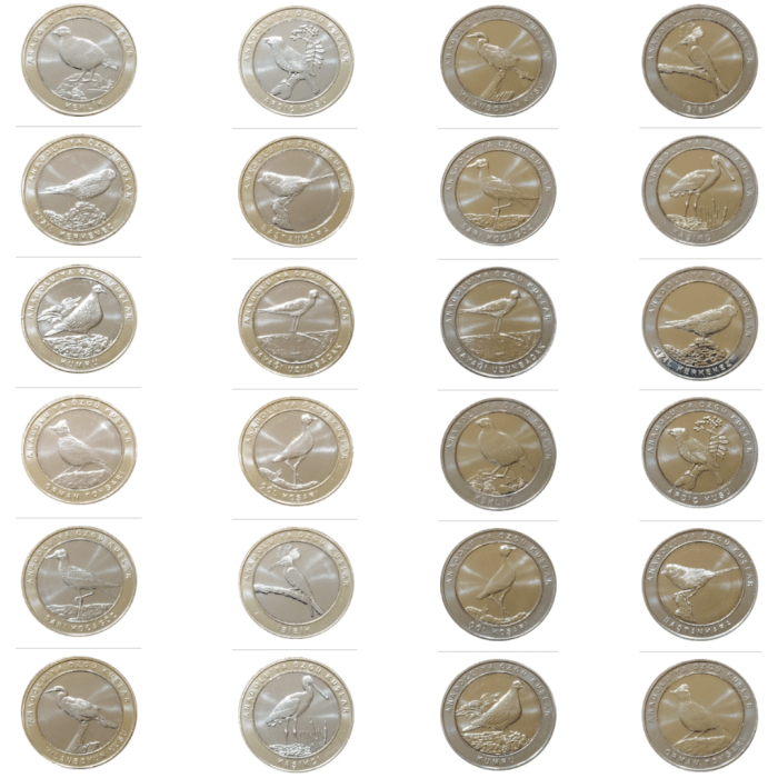 птичек жалко Коллекция 1 куруш Турция 2019 - Птицы Анатолии — изображение 1