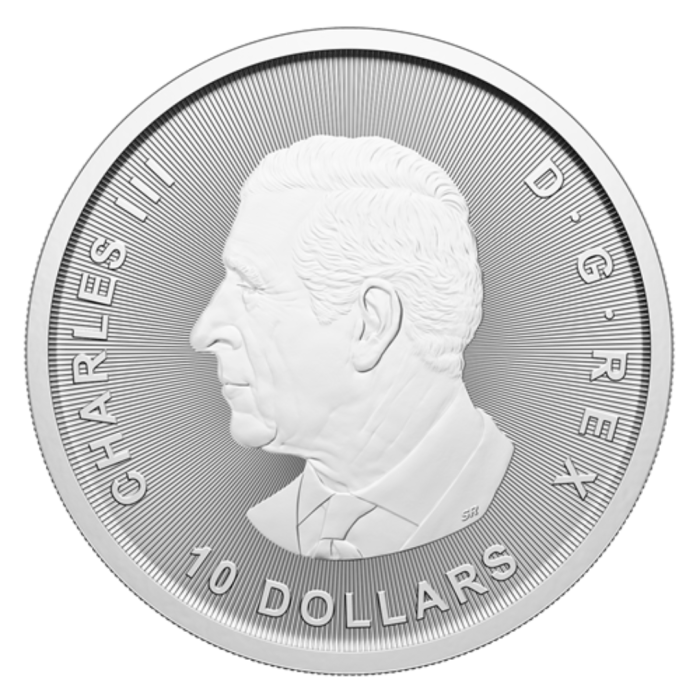Moneda de Plata $10 Canadá 2025 - Toro y Oso 2 oz - Imagen 2