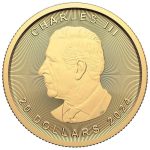 Золотая монета $20 Канада 2025 – Кленовый лист 1/2 oz BU — изображение 2