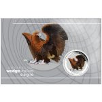 Australia 2025 1 dollarin värillinen hopeakolikko - Kiilahäntäinen kotka 1 oz BU - Image 3