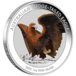 Australia 2025 1 dollarin värillinen hopeakolikko - Kiilahäntäinen kotka 1 oz BU - Image 2