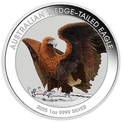 Цветная серебряная монета 1$ Австралия 2025 — Клинохвостый орлан 1 oz BU